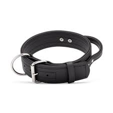 DOG COLLARS