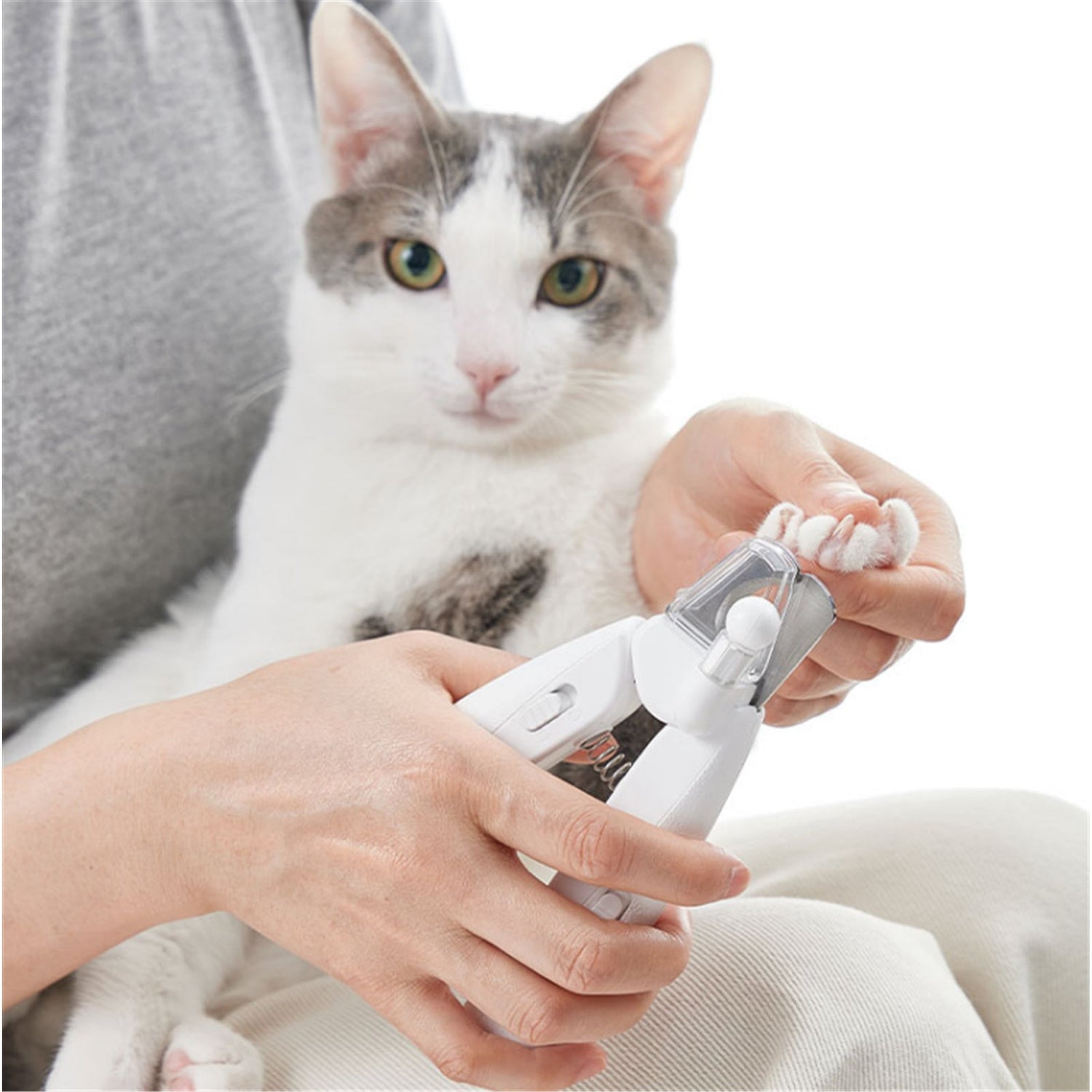 Pet Nail Care
