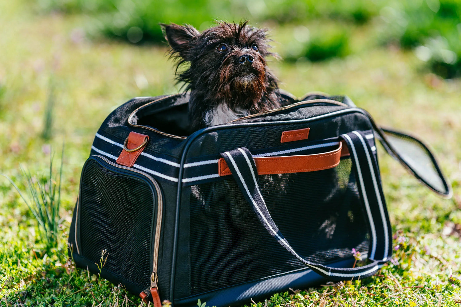Pet Supplies